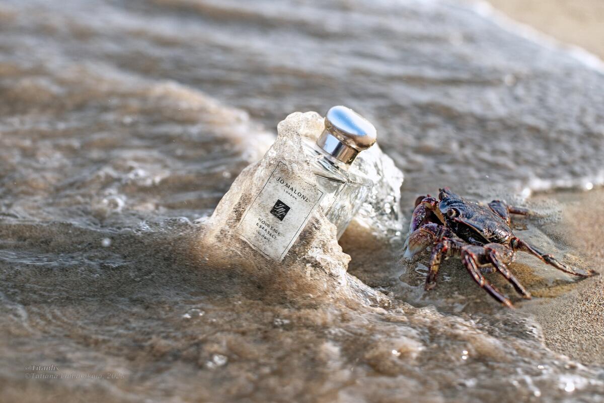 Jo Malone Wood Sage & Sea Salt - Luxury Lifestyle Travel recensie en prijs